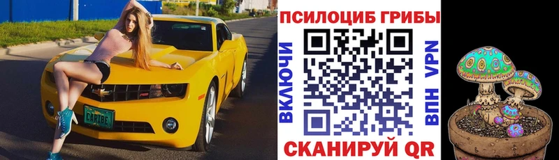 мега как зайти Бирск Галлюциногенные грибы GOLDEN TEACHER